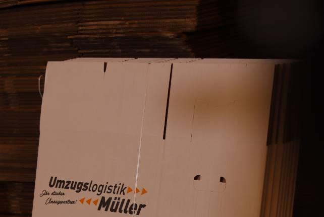 Günstiger Behördenumzug Thalheim/Erzgeb.